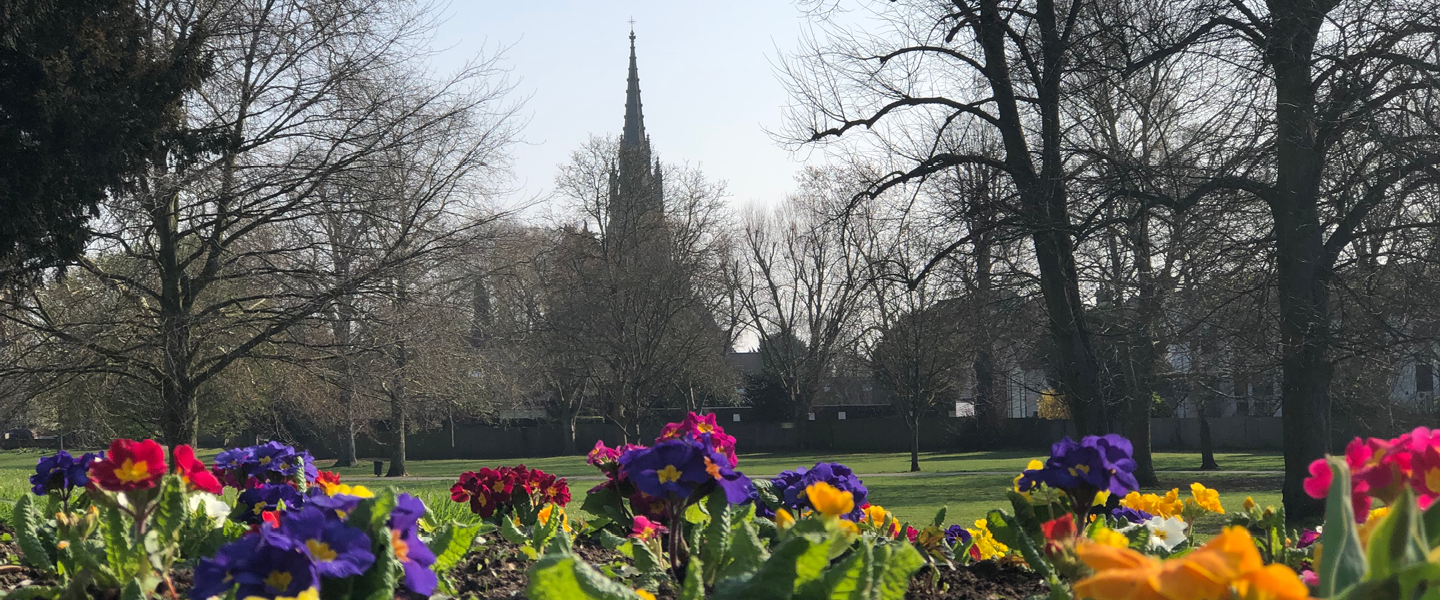 Brightly coloured flowers in the foreground with a church in the background